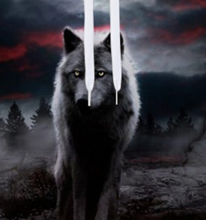 New Evil Wolf Tide Brand Digital Print Hooded Pullover Spring and Autumn Plus Size Couple Top